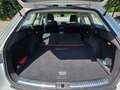 SEAT Leon Leon III 2013 ST ST 1.4 tgi Connect s Blanc - thumbnail 31