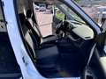 Fiat Doblo 1.4 Natural Power PL-TN Cargo Maxi Sx Metano Blanc - thumbnail 12