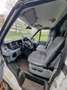 Ford Transit FT Kasten 350L Trend Weiß - thumbnail 7