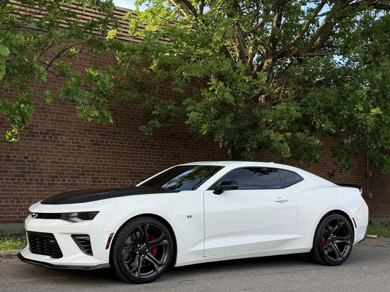 Chevrolet Camaro photo Chevrolet Camaro