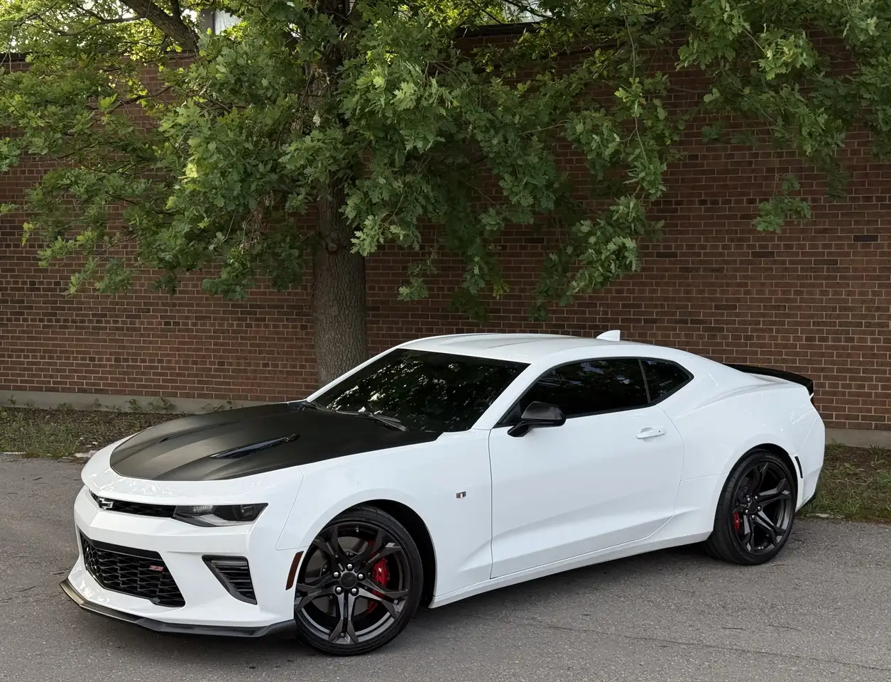 Chevrolet Camaro photo Chevrolet Camaro