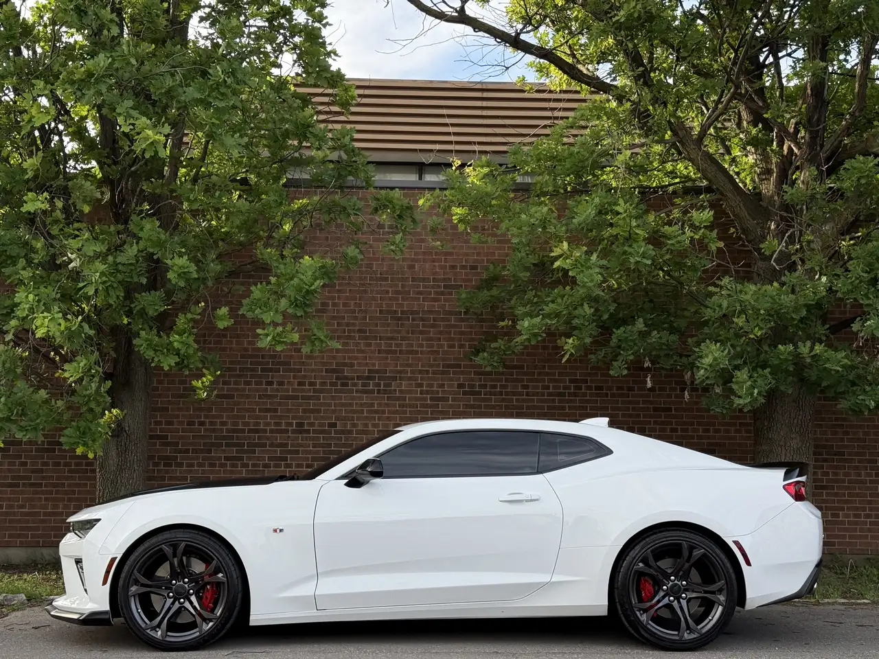 Chevrolet Camaro photo Chevrolet Camaro