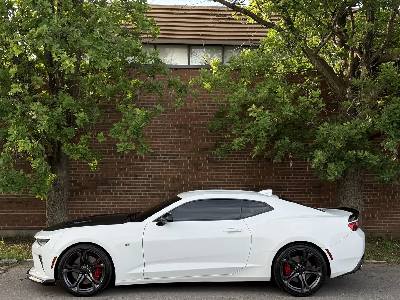 Chevrolet Camaro photo Chevrolet Camaro