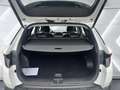Hyundai TUCSON 1.6 T-GDi Mild-Hybrid ''Prime'' Rückfahrkamera Sit Weiß - thumbnail 12