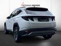 Hyundai TUCSON 1.6 T-GDI HEV *V-LED*NSCC*KAM*SHZ*NAVI* Weiß - thumbnail 5