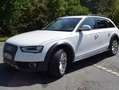 Audi A4 allroad A4 Allroad Quattro Diesel 3.0 TDI DPF S-tronic Weiß - thumbnail 4