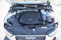 Audi A4 allroad A4 Allroad Quattro Diesel 3.0 TDI DPF S-tronic Weiß - thumbnail 10