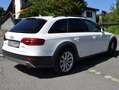Audi A4 allroad A4 Allroad Quattro Diesel 3.0 TDI DPF S-tronic Weiß - thumbnail 2