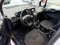 Ford Transit Courier Trend Weiß - thumbnail 13