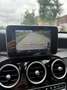 Mercedes-Benz C 350 Lease Edition Grau - thumbnail 20