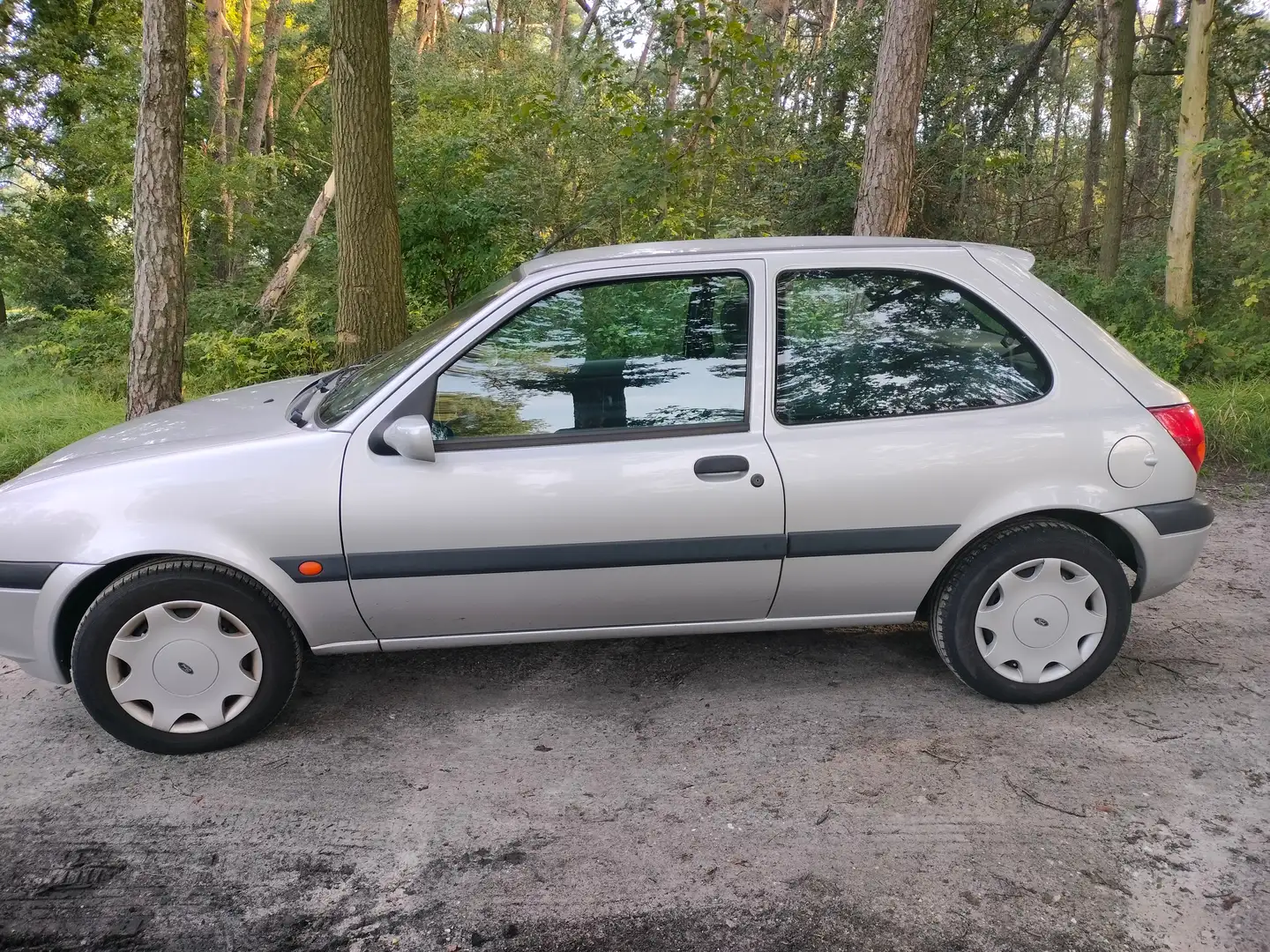 Ford Fiesta Fiesta 1.3-16V Collection Plateado - 1