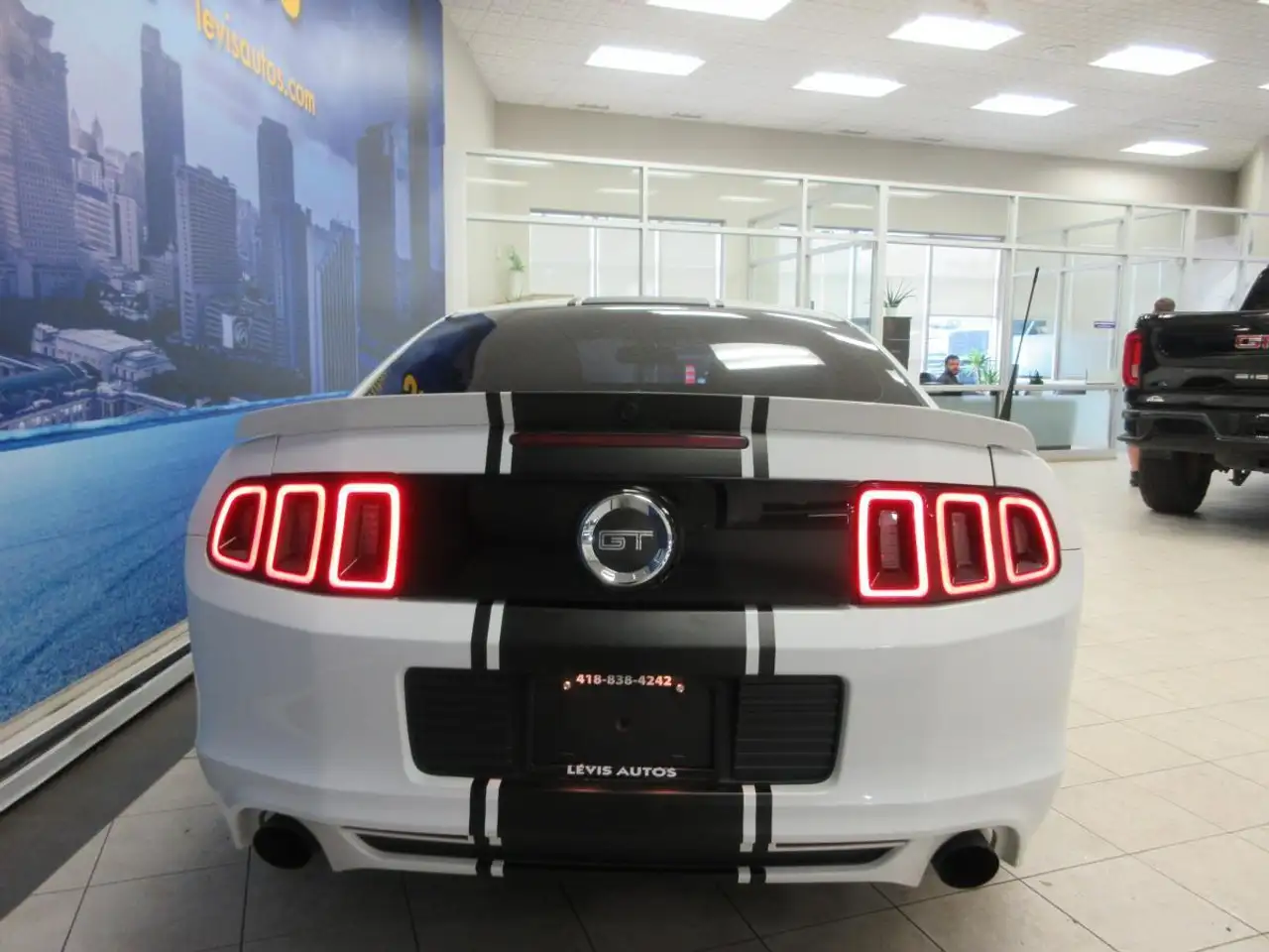 Ford Mustang fotografie Ford Mustang