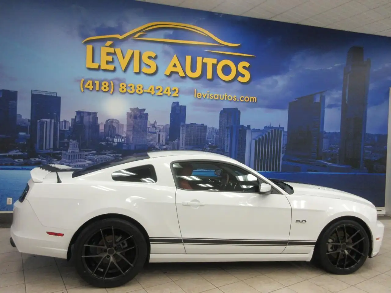 Ford Mustang fotografie Ford Mustang