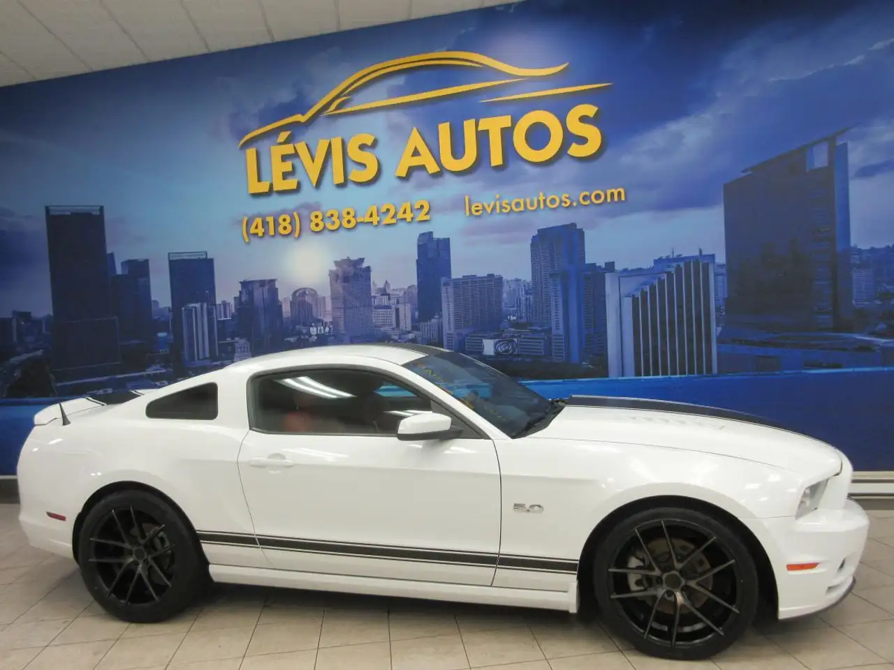 Ford Mustang fotografie Ford Mustang