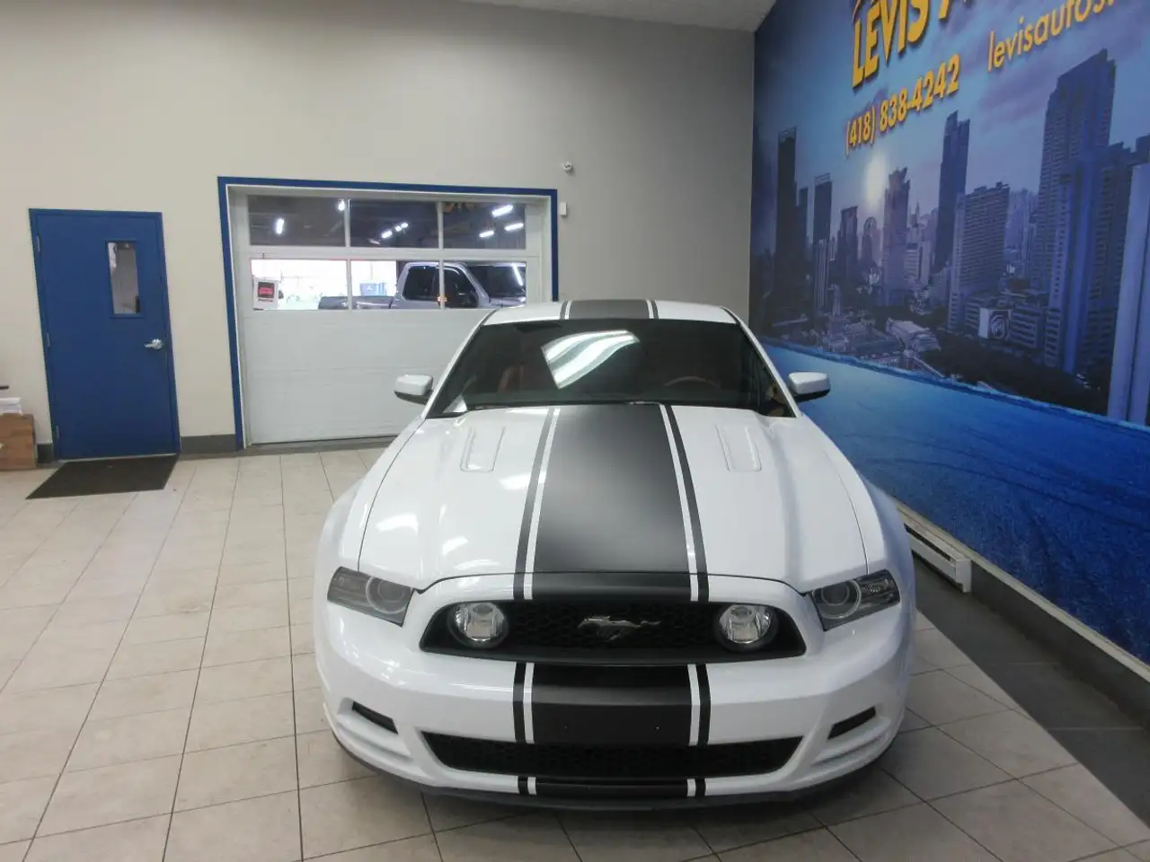 Ford Mustang fotografie Ford Mustang