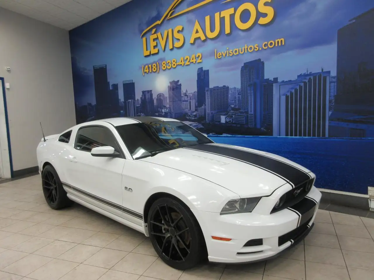 Ford Mustang fotografie Ford Mustang