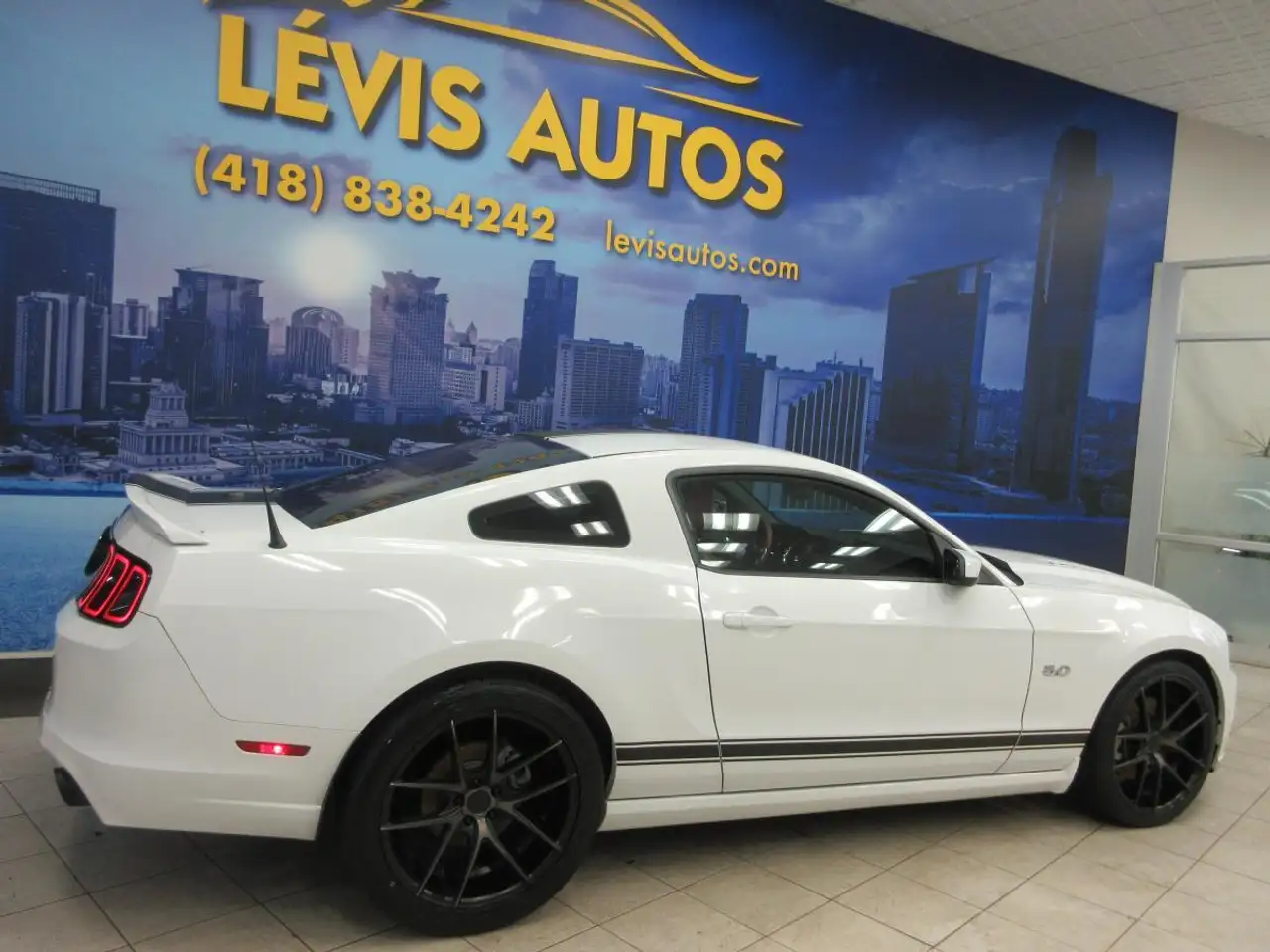 Ford Mustang fotografie Ford Mustang