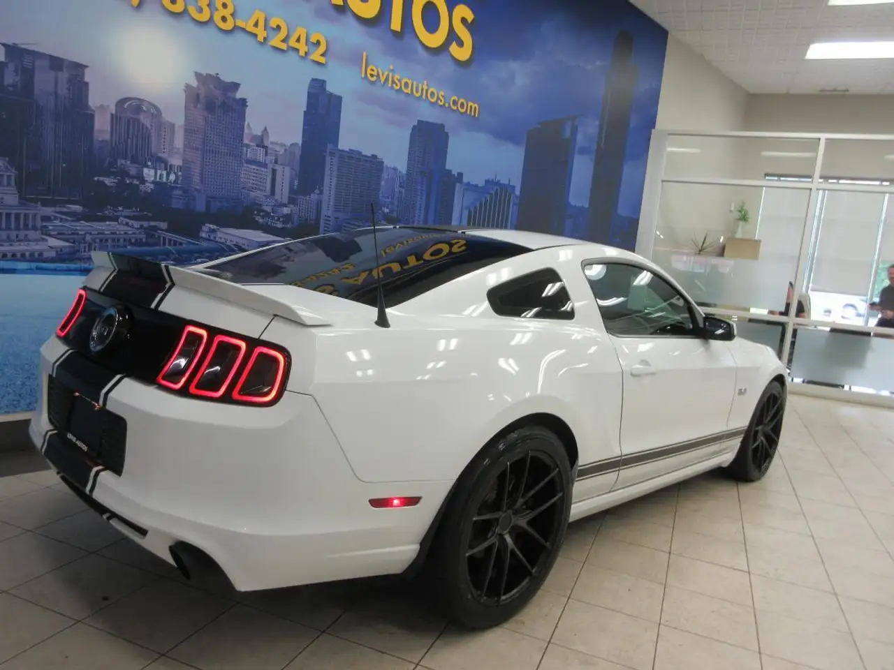 Ford Mustang fotografie Ford Mustang