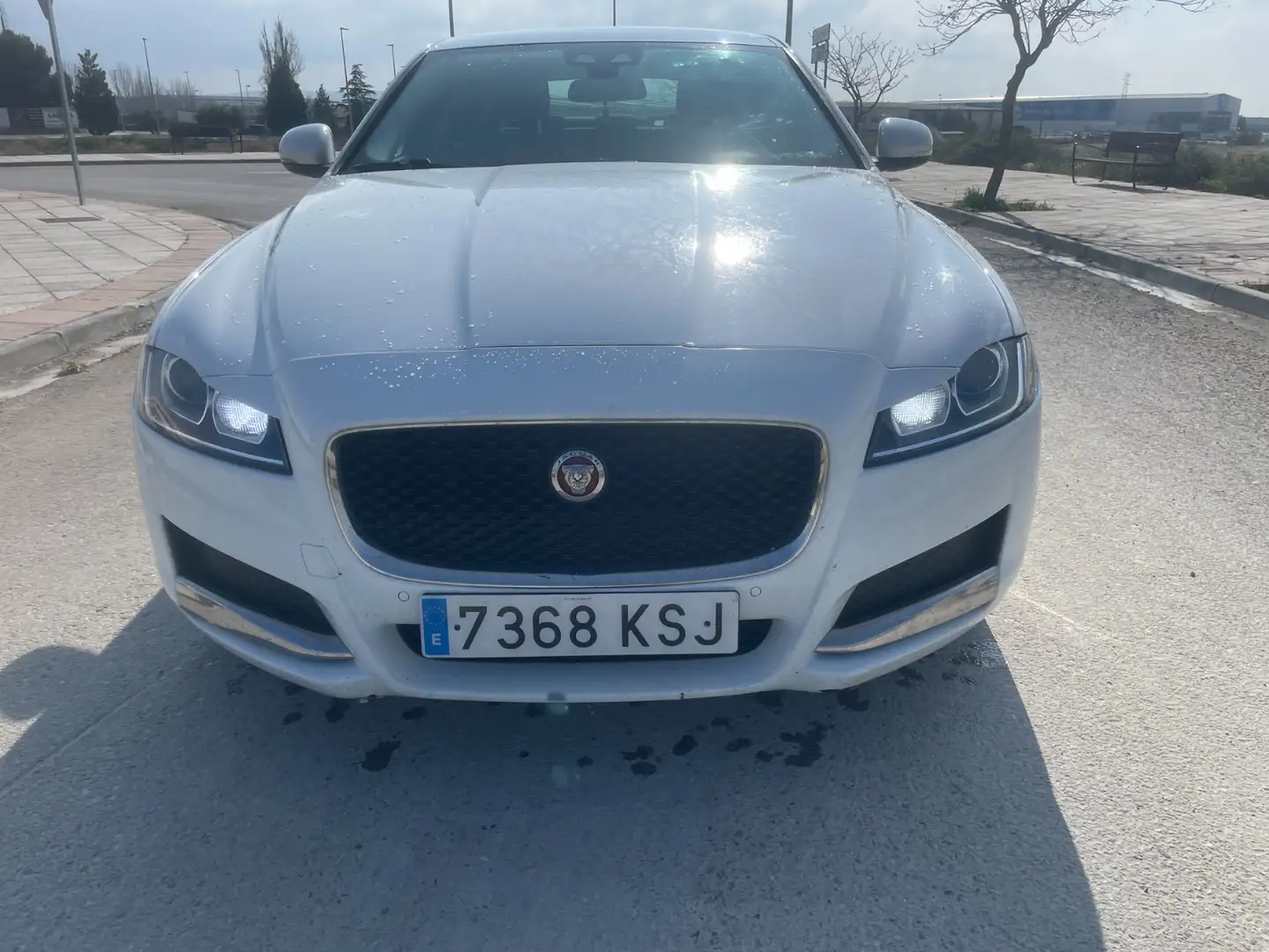 Jaguar XF 2.0i4D Prestige Aut. 163 bijela - 2