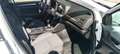Renault Megane 1.3 TCe GPF Equilibre 103kW Blanco - thumbnail 19