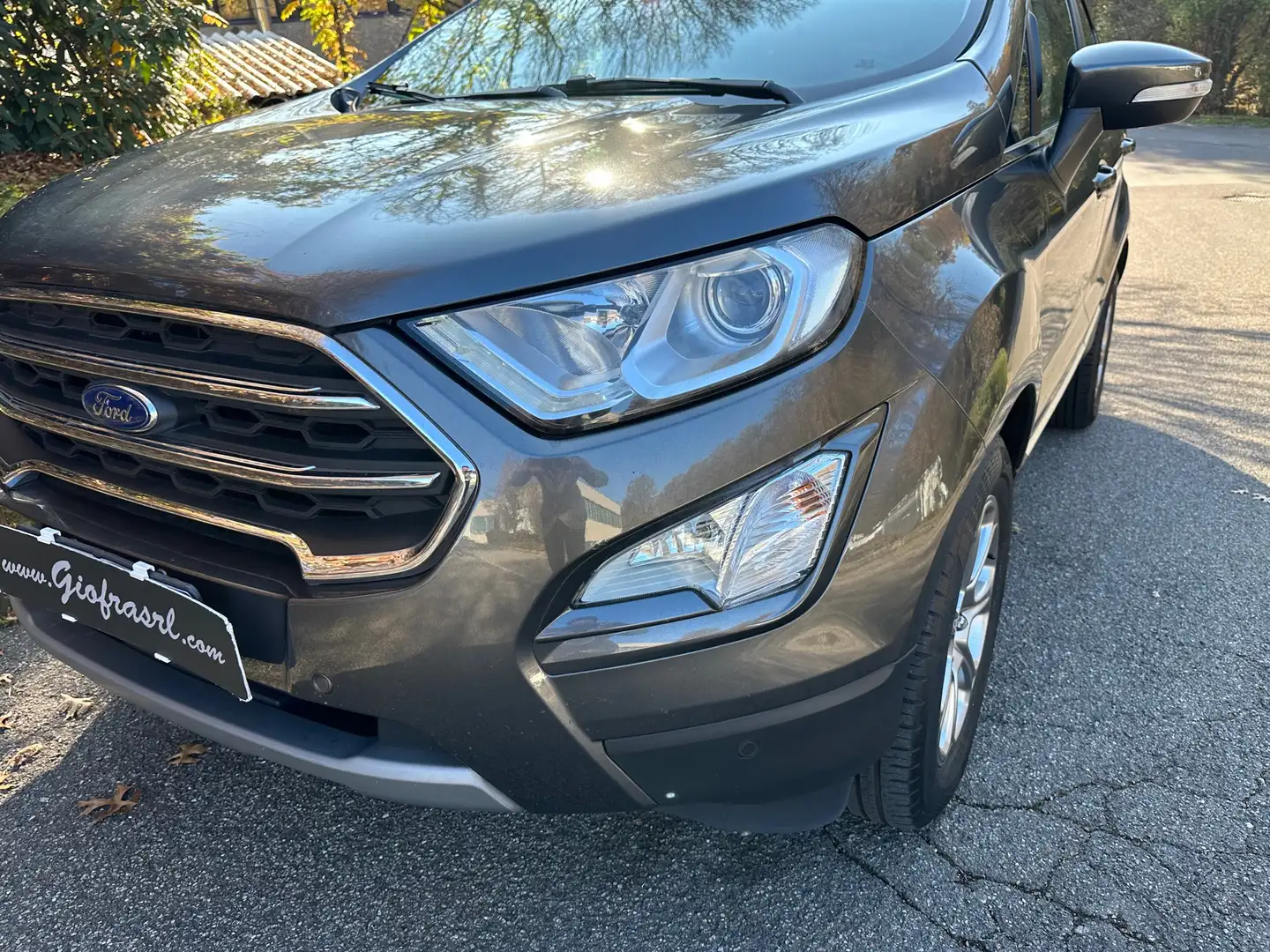 Ford EcoSport 1.0 ecoboost Titanium s&s 125cv auto Grau - 2
