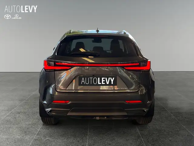 Lexus NX view 5