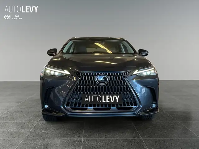 Lexus NX view 9