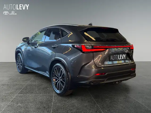 Lexus NX view 4