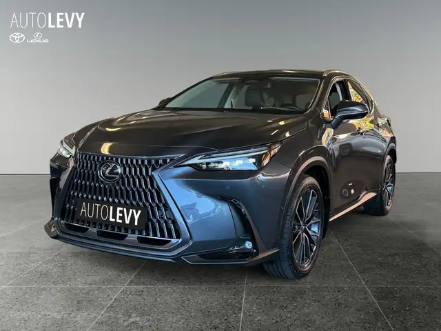 Lexus NX view 2