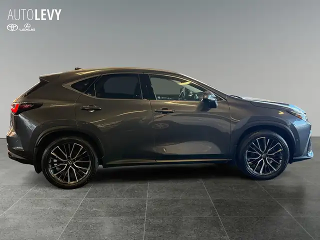 Lexus NX view 7