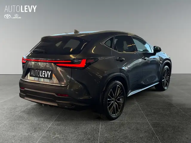 Lexus NX view 6