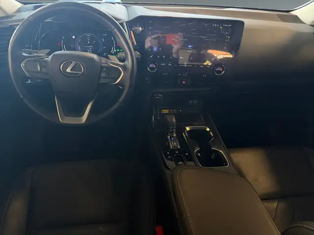 Lexus NX view 11