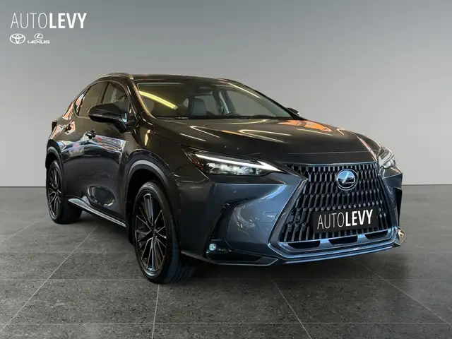 Lexus NX view 8