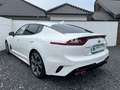 Kia Stinger GT 4WD Navi Harman Headup Keyless Leder Blanco - thumbnail 3