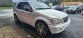 Mercedes-Benz ML 55 AMG Weiß - thumbnail 2