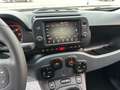Fiat Panda Panda 1.0 Hybrid 70cv Cross Verde - thumbnail 11