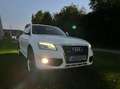Audi Q5 2.0 TFSI  Pano/Navi/ Cam/AnhängerKup/Motor 50000 Weiß - thumbnail 3