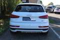 Audi Q3 Audi Q3 Intense 2.0TDI Quattro S-Line Blanc - thumbnail 8