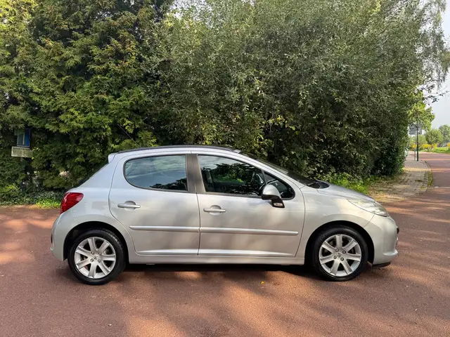 Peugeot 207 view 4