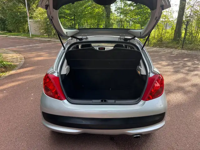 Peugeot 207 view 9