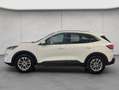 Ford Kuga 2.5 Duratec PHEV TITANIUM Blanc - thumbnail 2