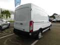 Ford Transit Kastenwagen 310 L2H2 Trend Weiß - thumbnail 5