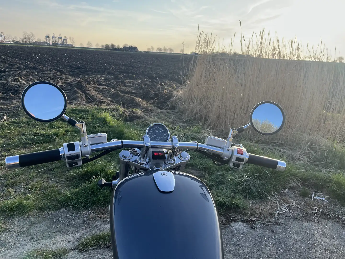Suzuki VS 800 VS52B - 2