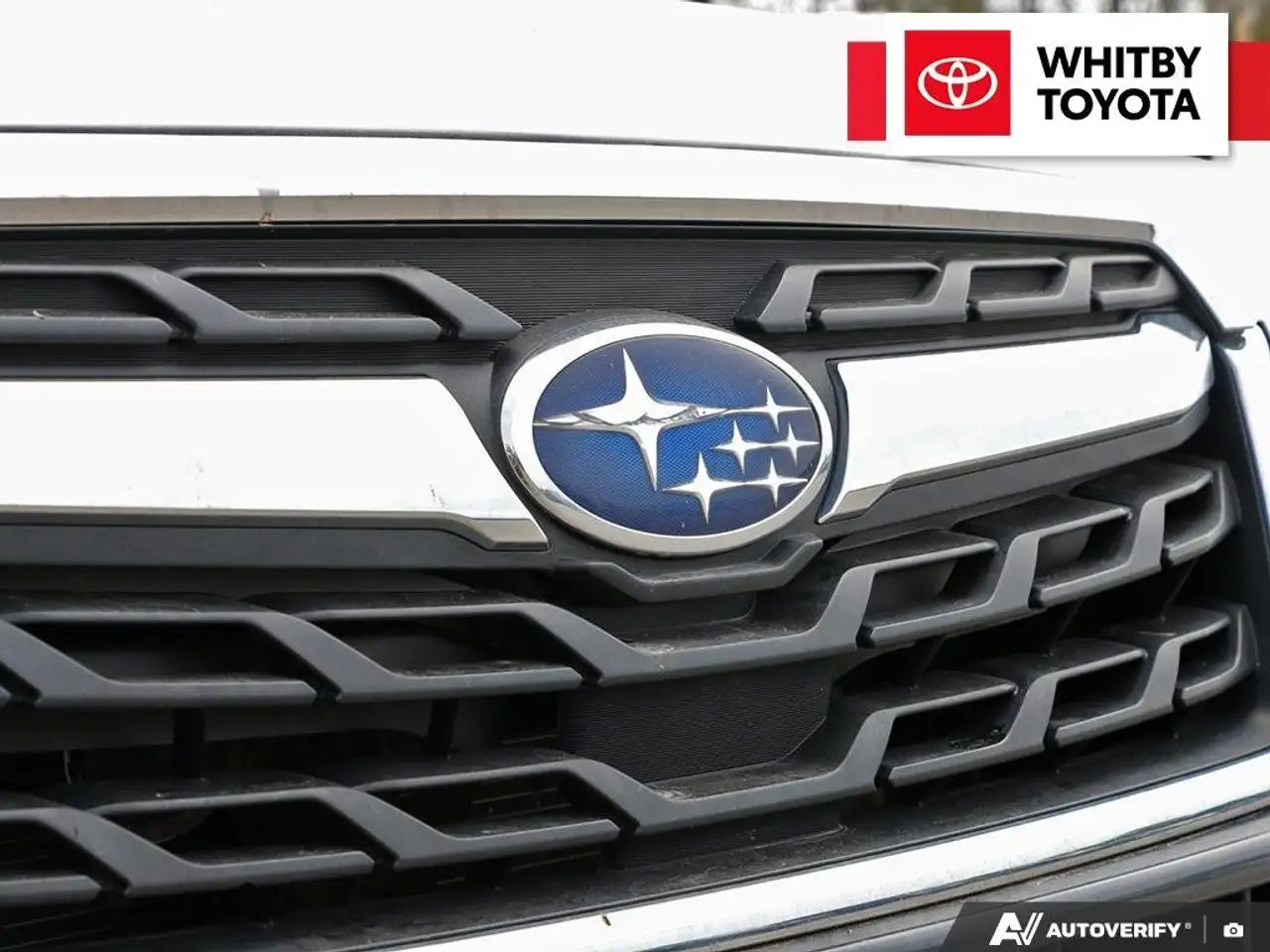 Subaru Forester fotografie Subaru Forester