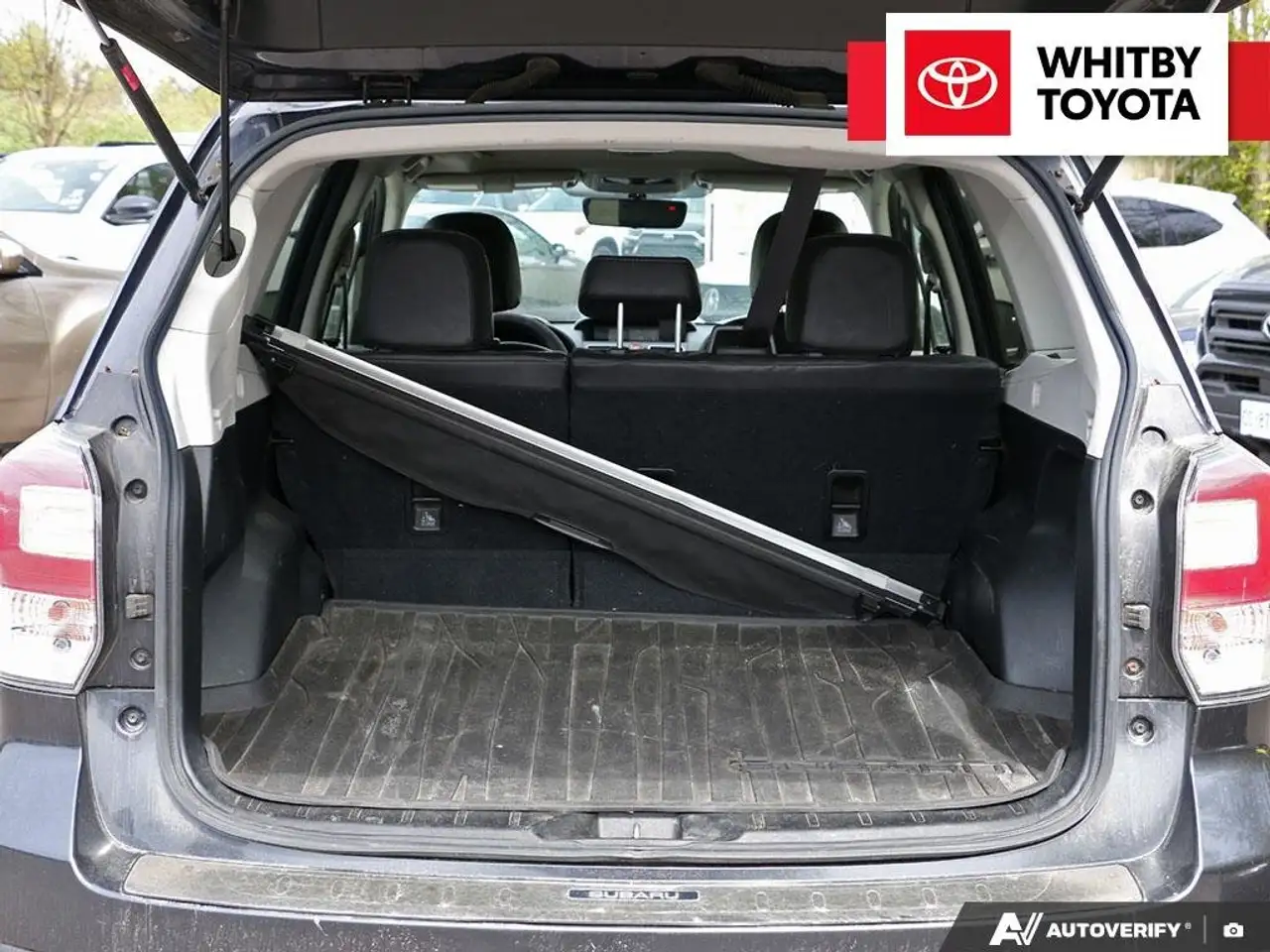 Subaru Forester fotografie Subaru Forester