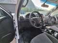 Toyota Landcruiser 2,8 D-4D 4WD **AHK**BF-GOODRICH**Mw... Weiß - thumbnail 19