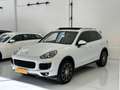 Porsche Cayenne Cayenne II  3.0 my17 TETTO/ GANCIO TRAINO / EURO6 Bianco - thumbnail 3