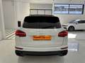 Porsche Cayenne Cayenne II  3.0 my17 TETTO/ GANCIO TRAINO / EURO6 Bianco - thumbnail 6