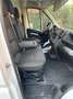 Citroen Jumper JUMPER 33 L2H2 BlueHDi 140cv Bianco - thumbnail 11