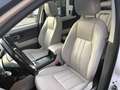 Land Rover Discovery Sport Discovery Sport I 2015 2.0 si4 HSE awd 240cv auto Weiß - thumbnail 9